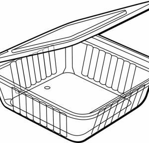 150g, Hinged Medium Salad Container