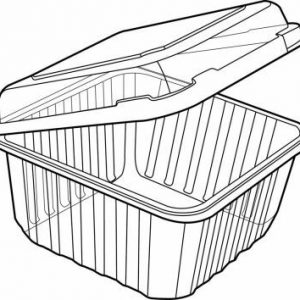 Large Punnet container, 1kg Hinged Lid and Base
